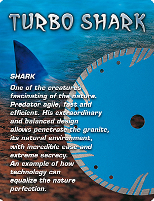 EN banner turbo shark